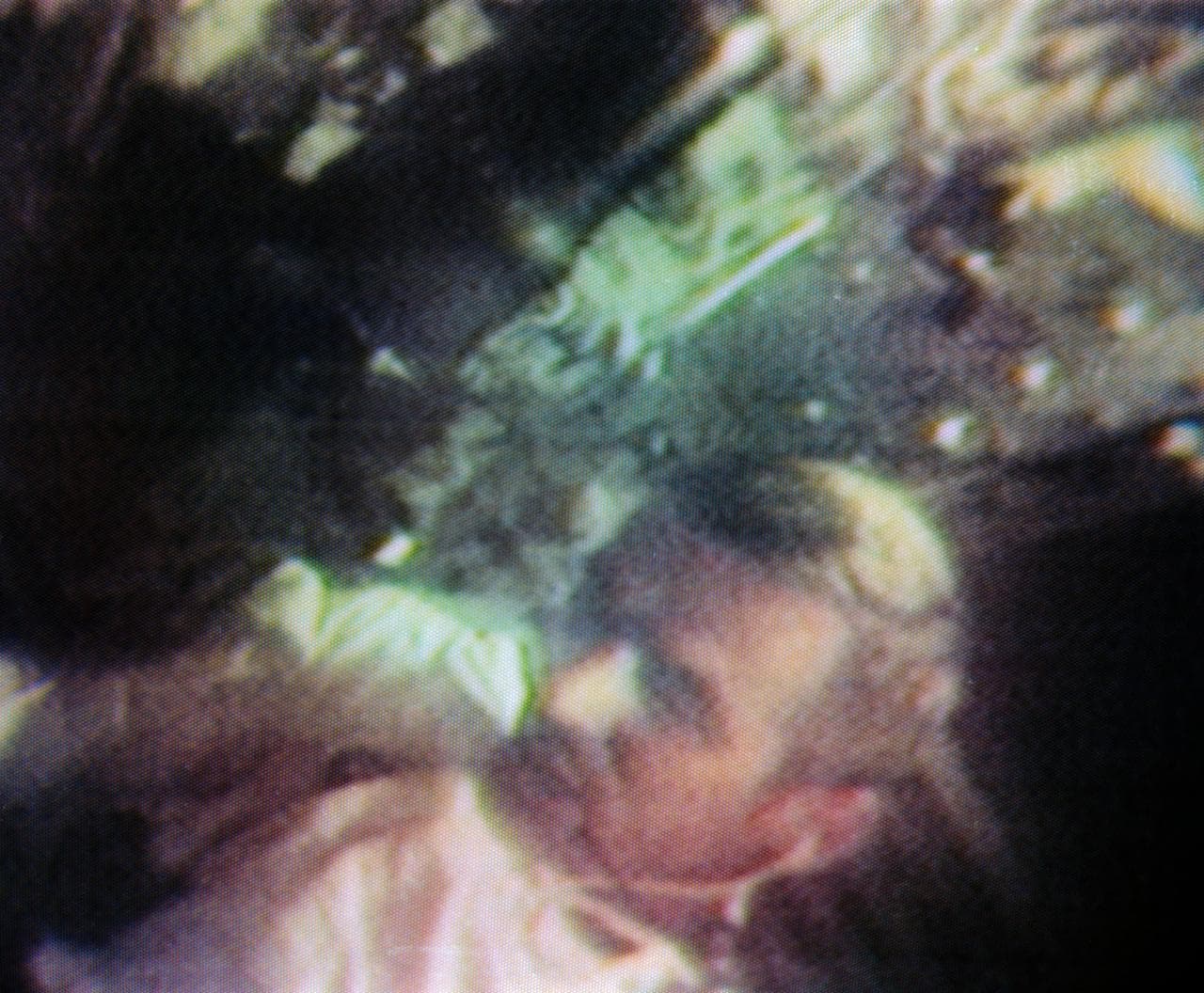 INFLIGHT - APOLLO X 